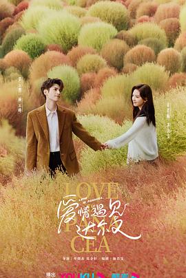 seo排名优化代理是什么